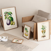 La chevelure des Amazones - Flore d'Amérique