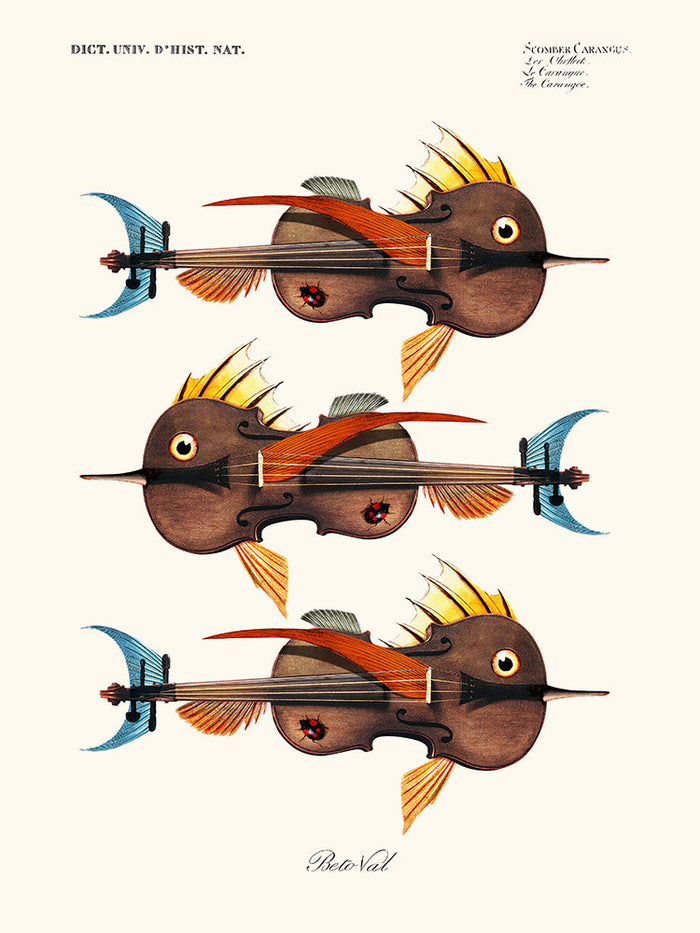 3 Violins de Béto Val