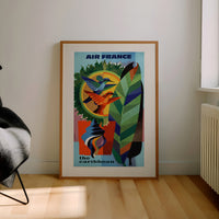 Air France / El Caribe A119