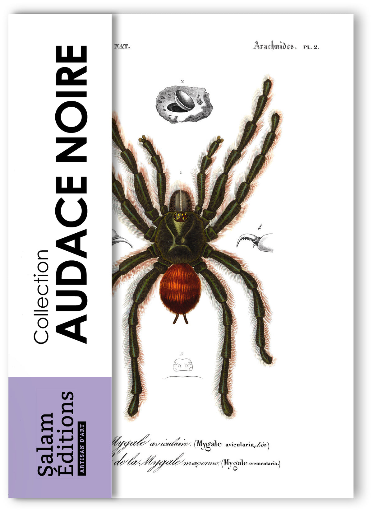 Collection "Audace Noire" - 9 CP