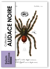 Collection "Audace Noire" - 9 CP