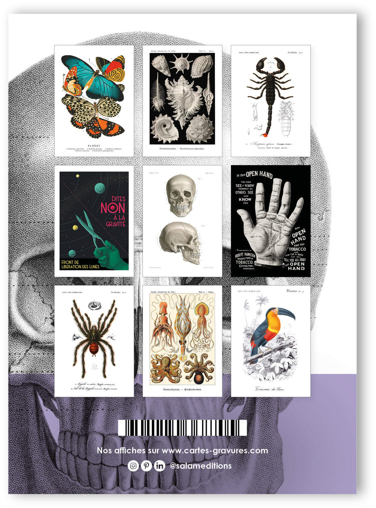 Collection "Audace Noire" - 9 CP