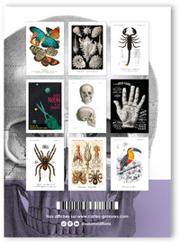 Collection "Audace Noire" - 9 CP