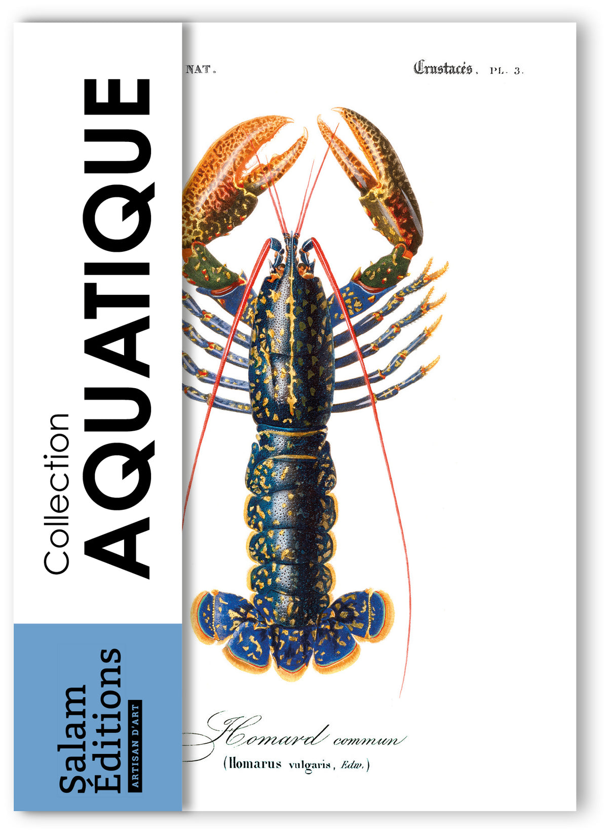 Collection "Aquatique" - 8 CP