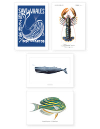 Collection "Aquatique" - 8 CP