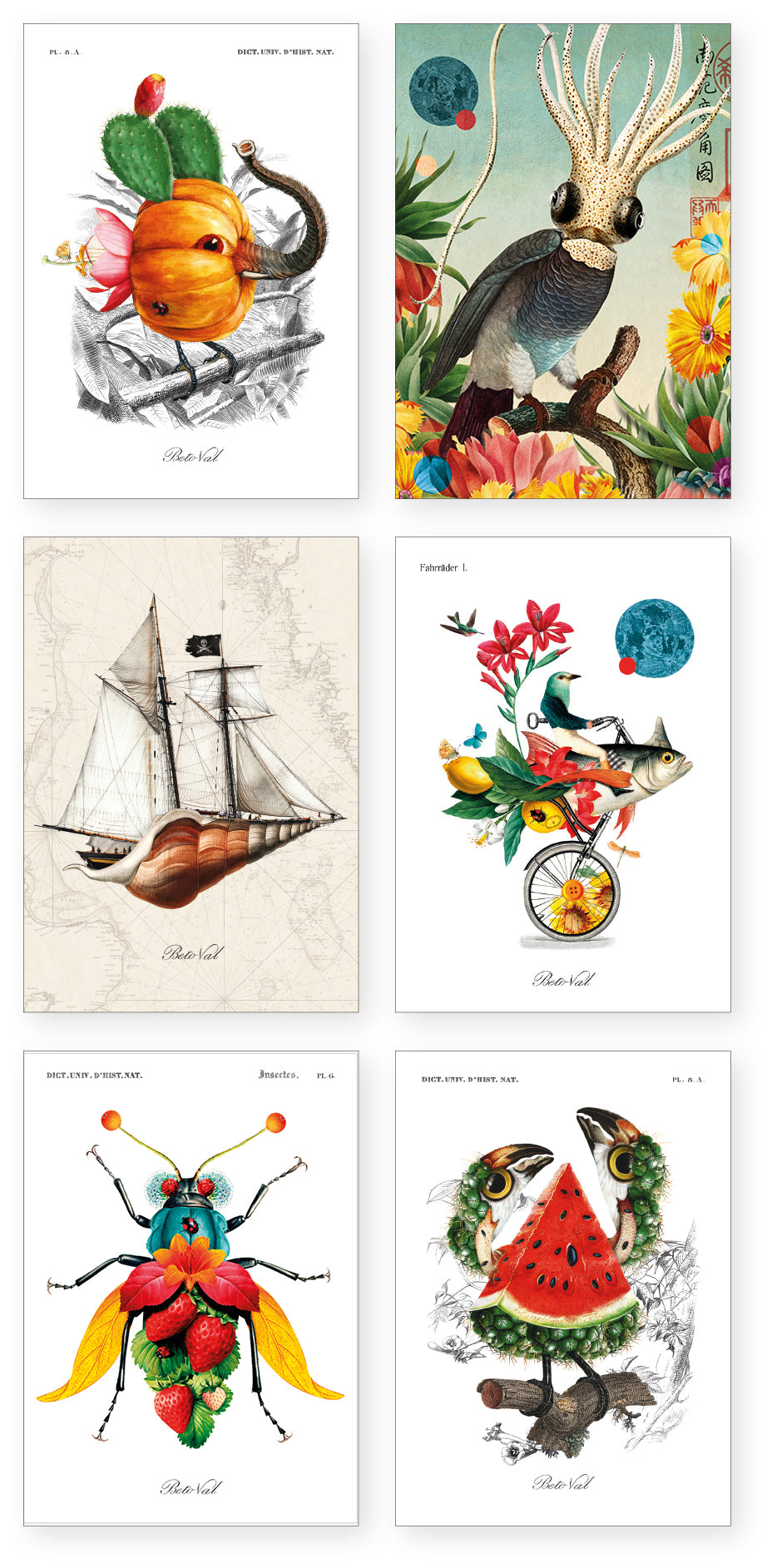 Collection "Béto Val" - 12 CP