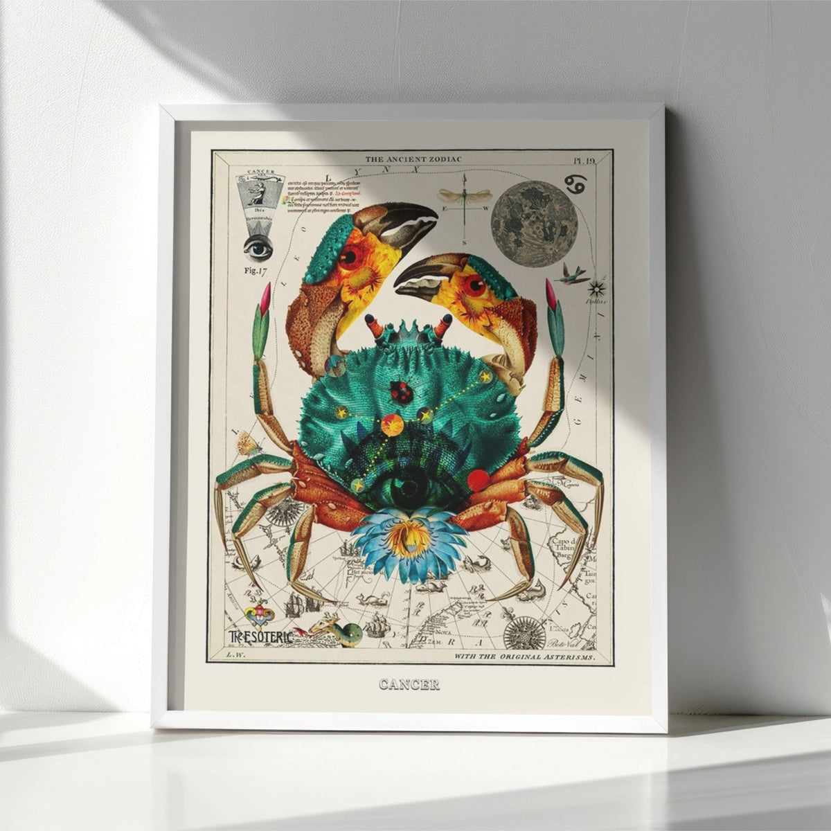 Cancer (Zodiaque Cancer) de Béto Val