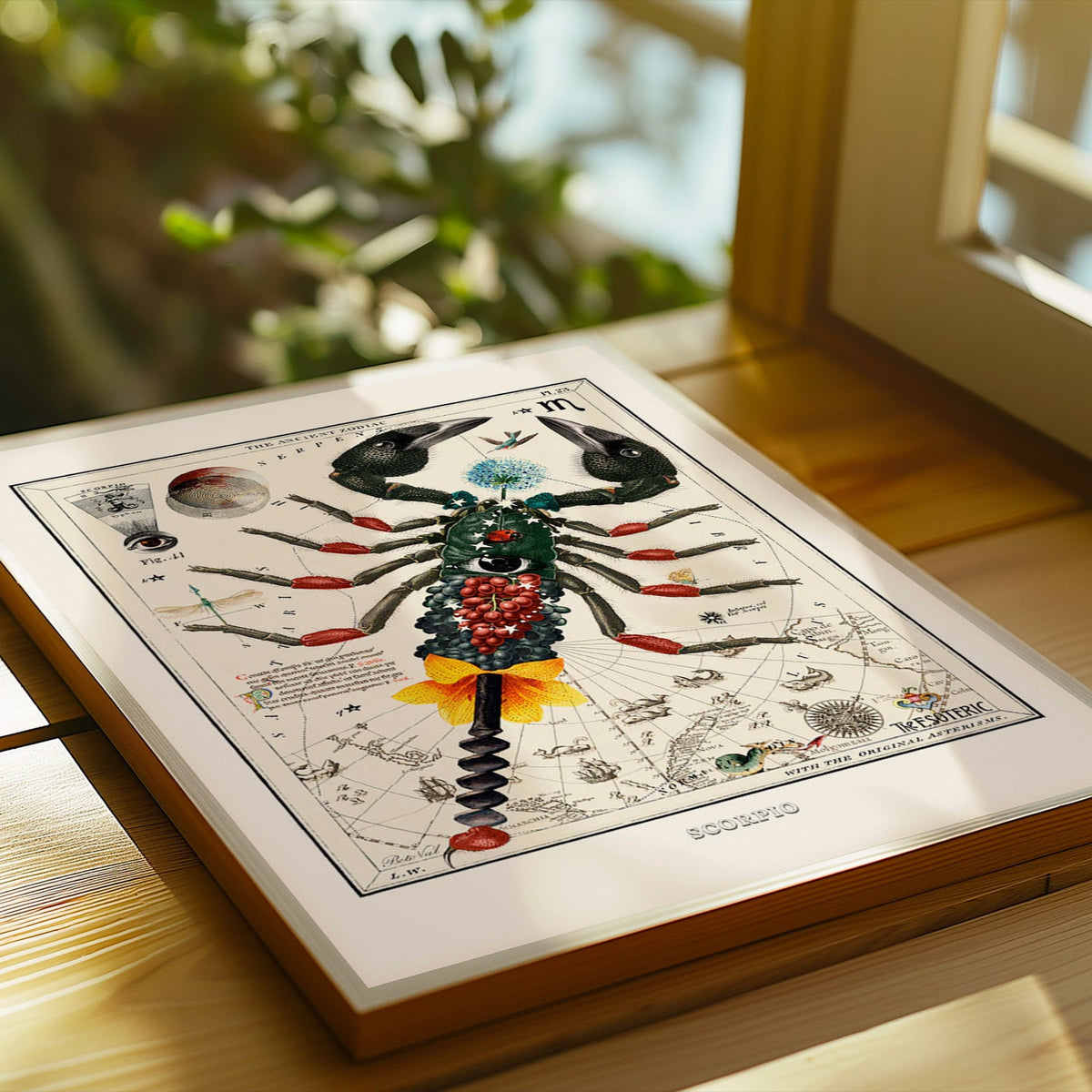 Scorpio (Zodiaque Scorpion) de Béto Val