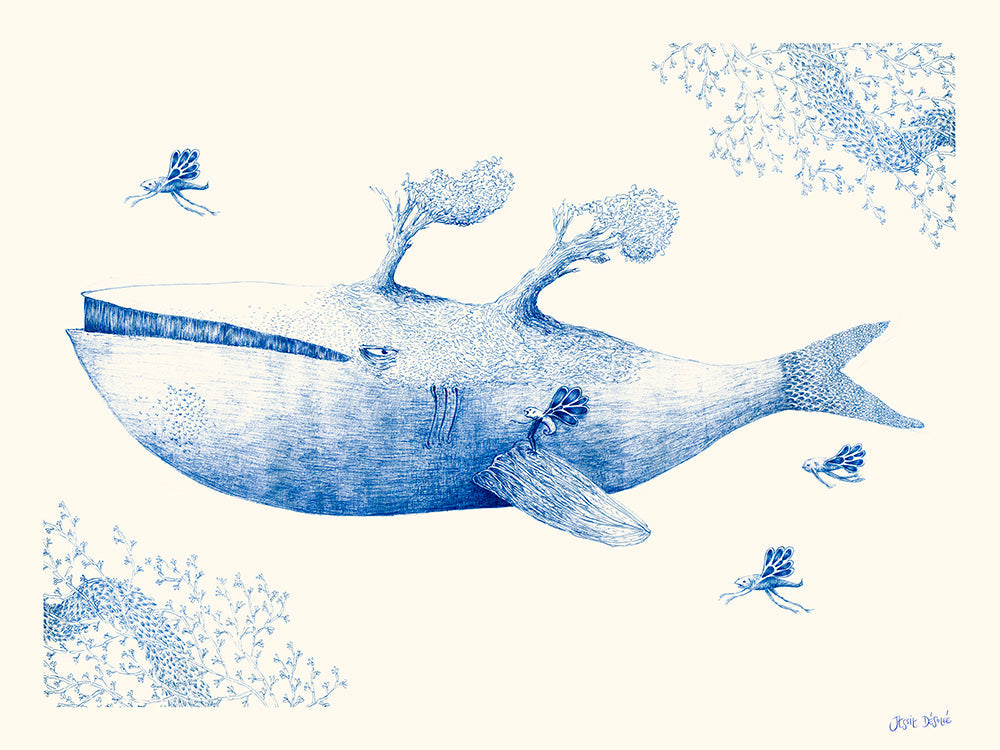 Baleine de Jessie Désolée