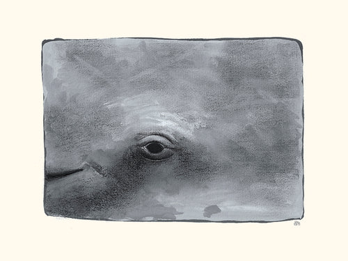 Baleine par Hélène Monfort