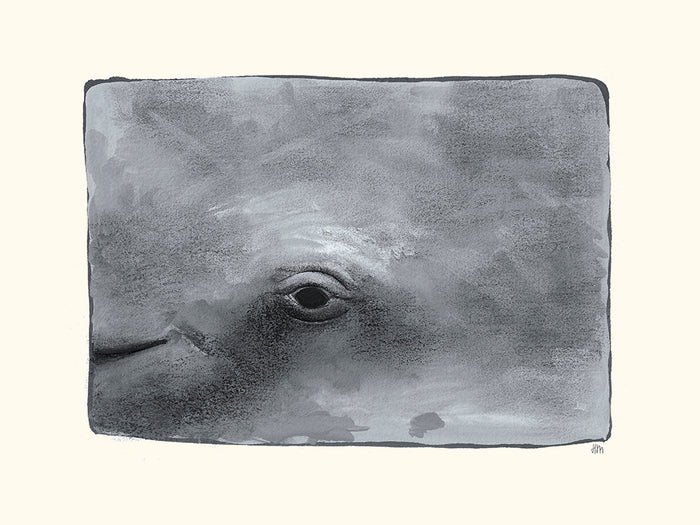 Baleine par Hélène Monfort