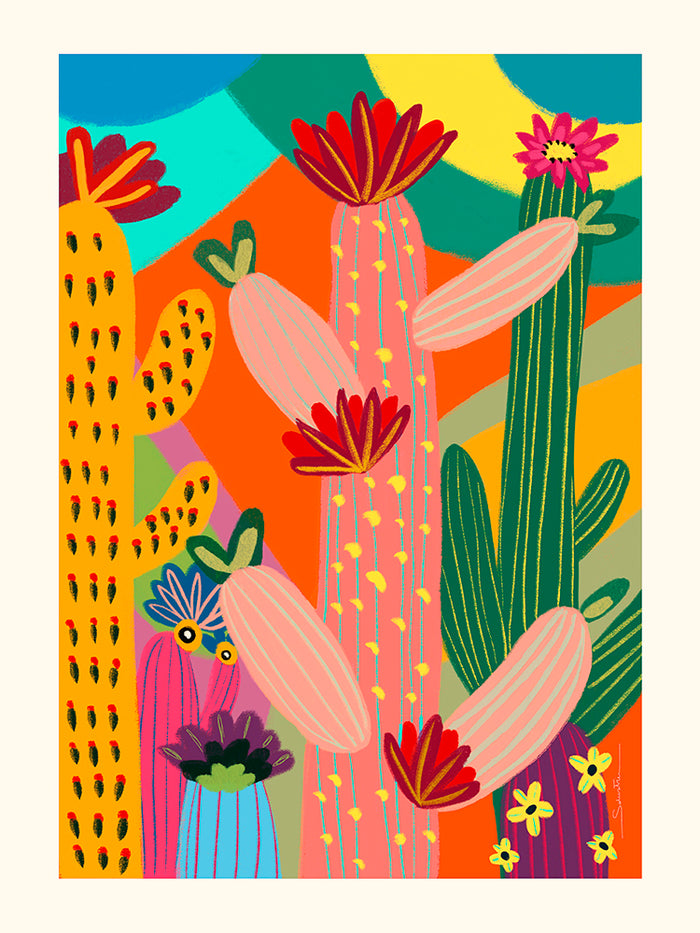 Cactus de Caterina Solustri