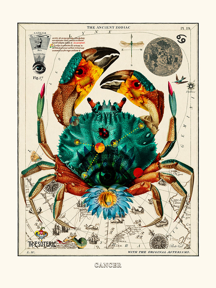 Cancer (Zodiaque Cancer) de Béto Val