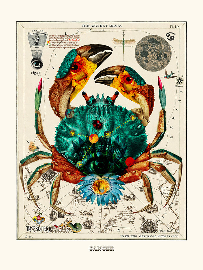 Cancer (Zodiaque Cancer) de Béto Val