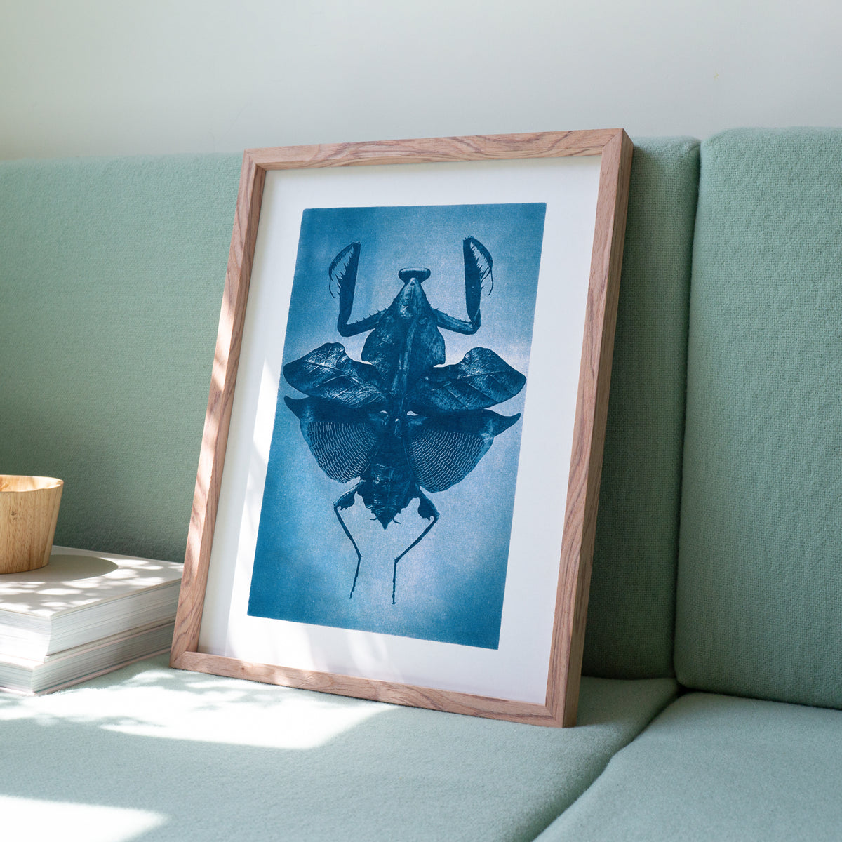 Mante Religieuse par les Papiers Bleus