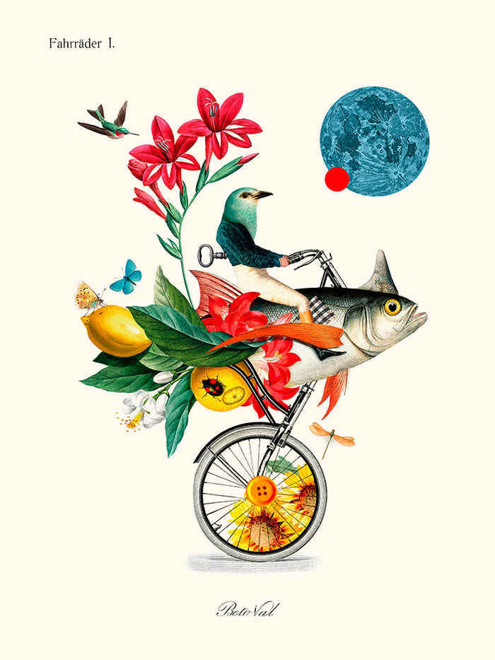 Cycle Fish de Béto Val