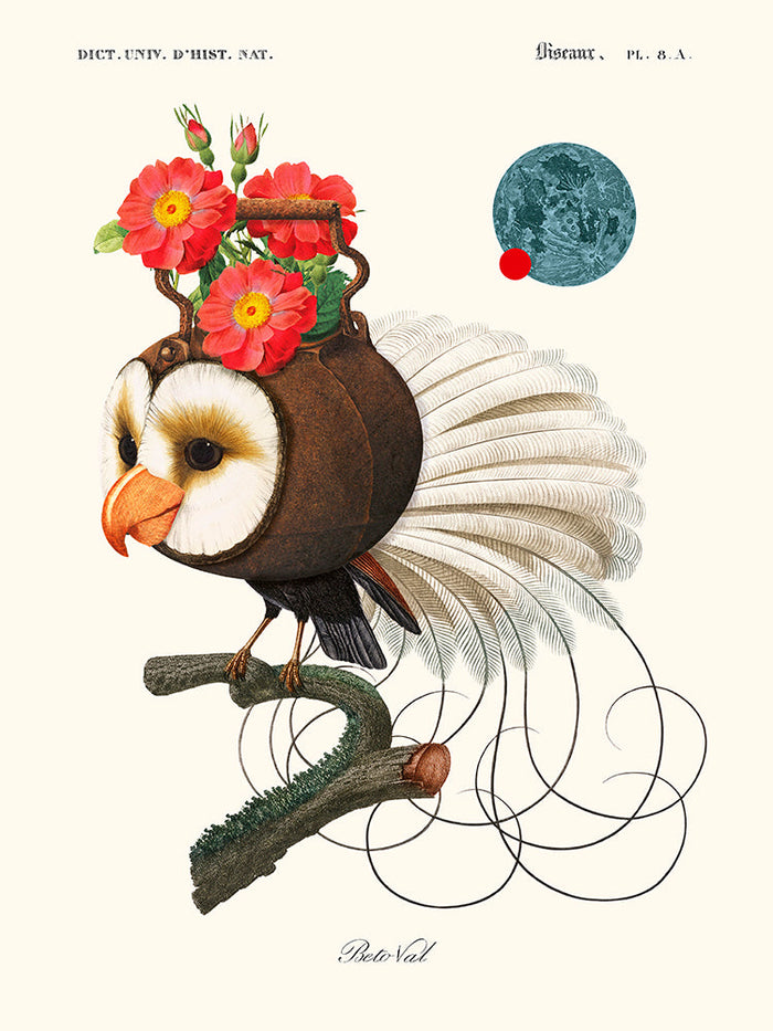 Funny little creature de Béto Val