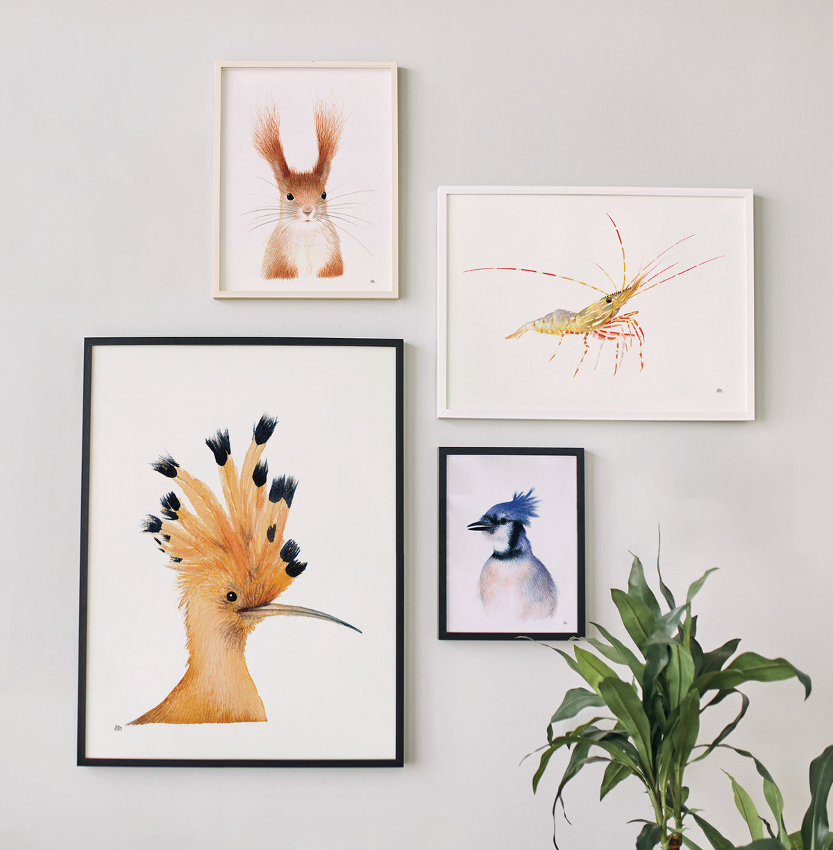 Écureuil par Hélène Monfort