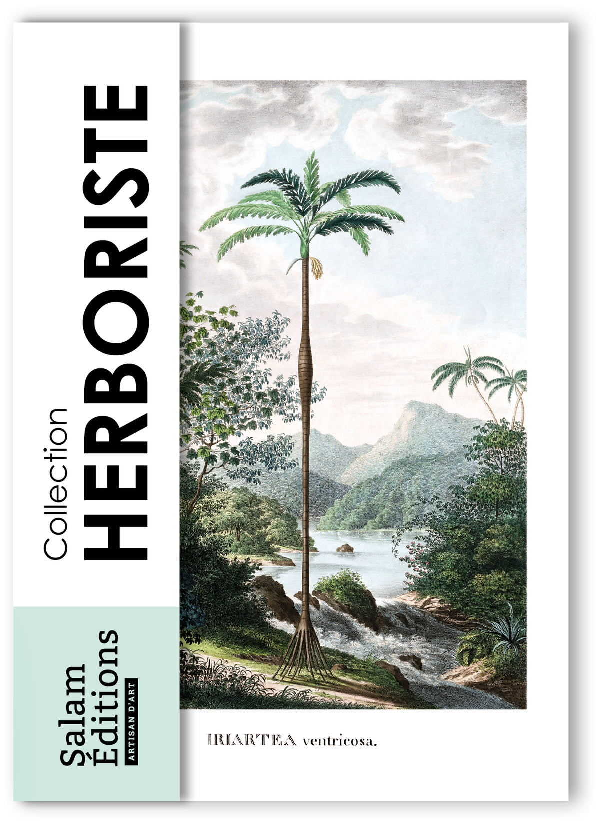 Collection "Herboriste" - 9 CP