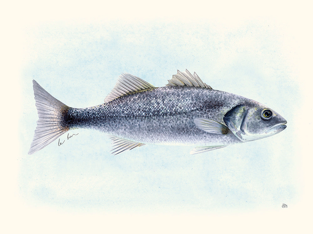 Le Bar par Hélène Monfort