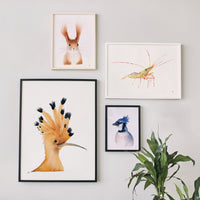 Huppe par Hélène Monfort