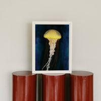 Méduse par Hélène Monfort