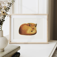 Renard par Hélène Monfort