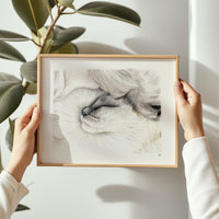 Chat par Hélène Monfort