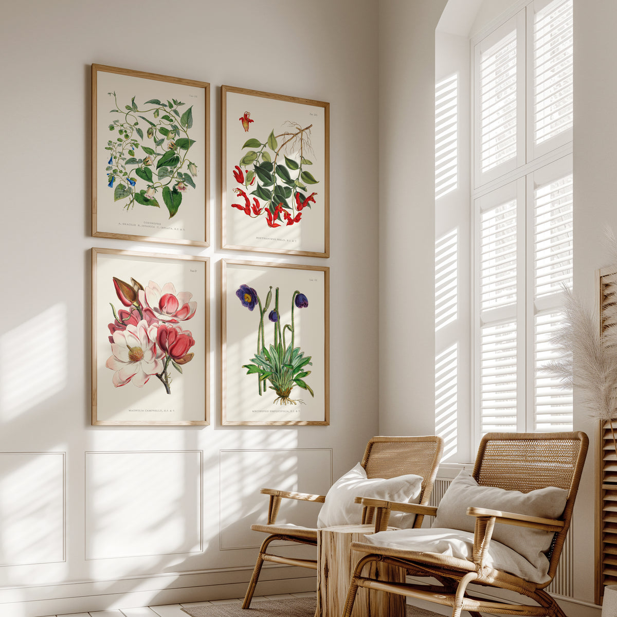 Aeschynanthus Peelii - Illustration of Himalayan plants (Plate XVII)