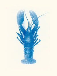 Homard par Les Papiers Bleus