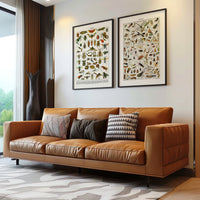 Insectes Platypria...