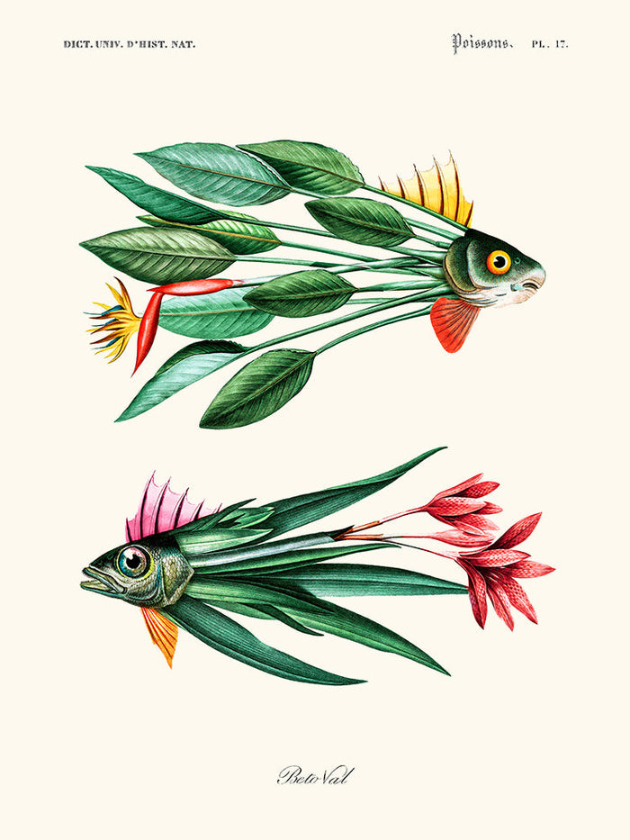 Leaf Fish de Béto Val