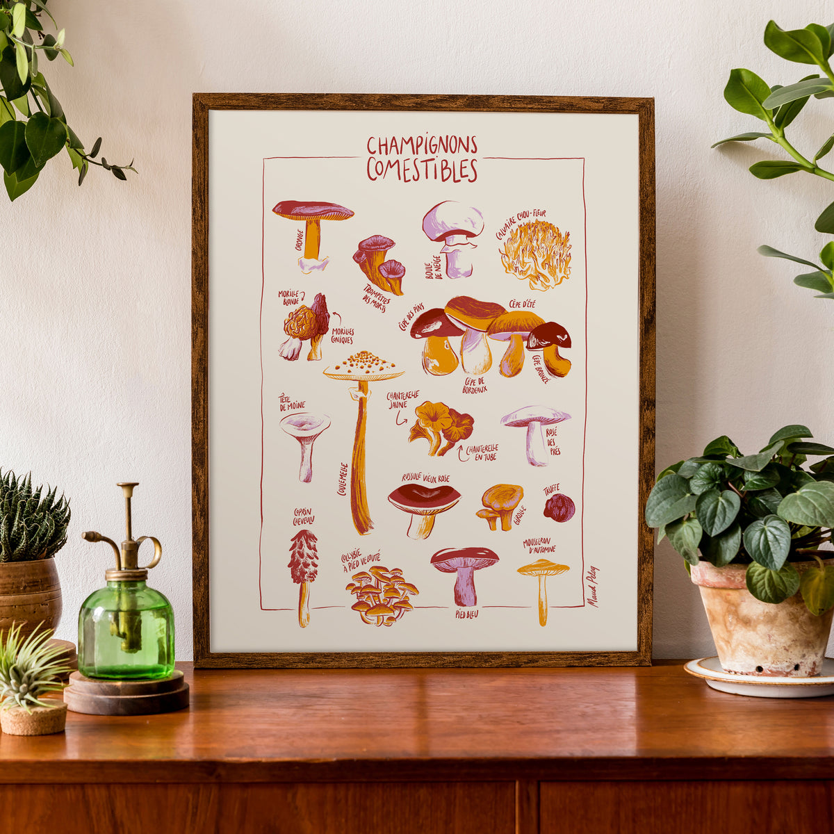 Champignons de Maud Peloq