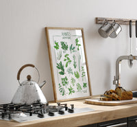 Plantes aromatiques de Maud Peloq