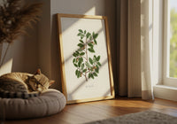 The Cork Tree - L'arbre à liège ou Chêne Liège.