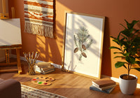 The Wild Pine - Le pin sauvage ou Pin sylvestre