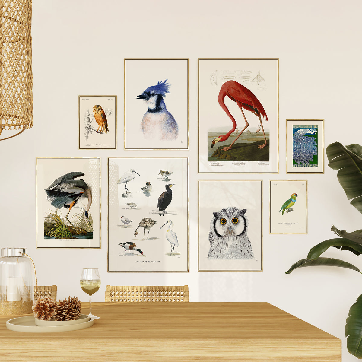 Geais Bleu par Hélène Monfort