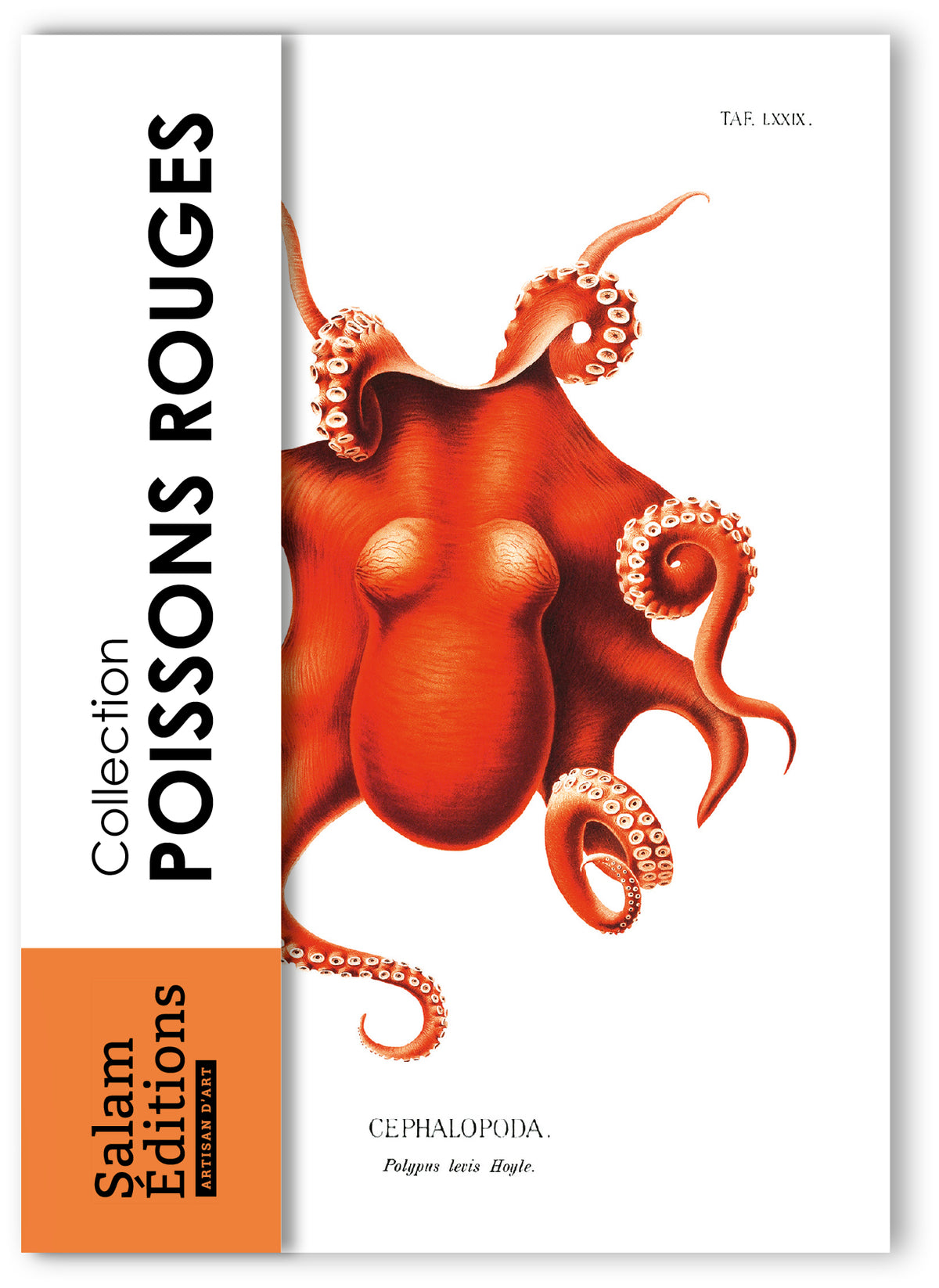 Collection "Poissons Rouges" - 11 CP