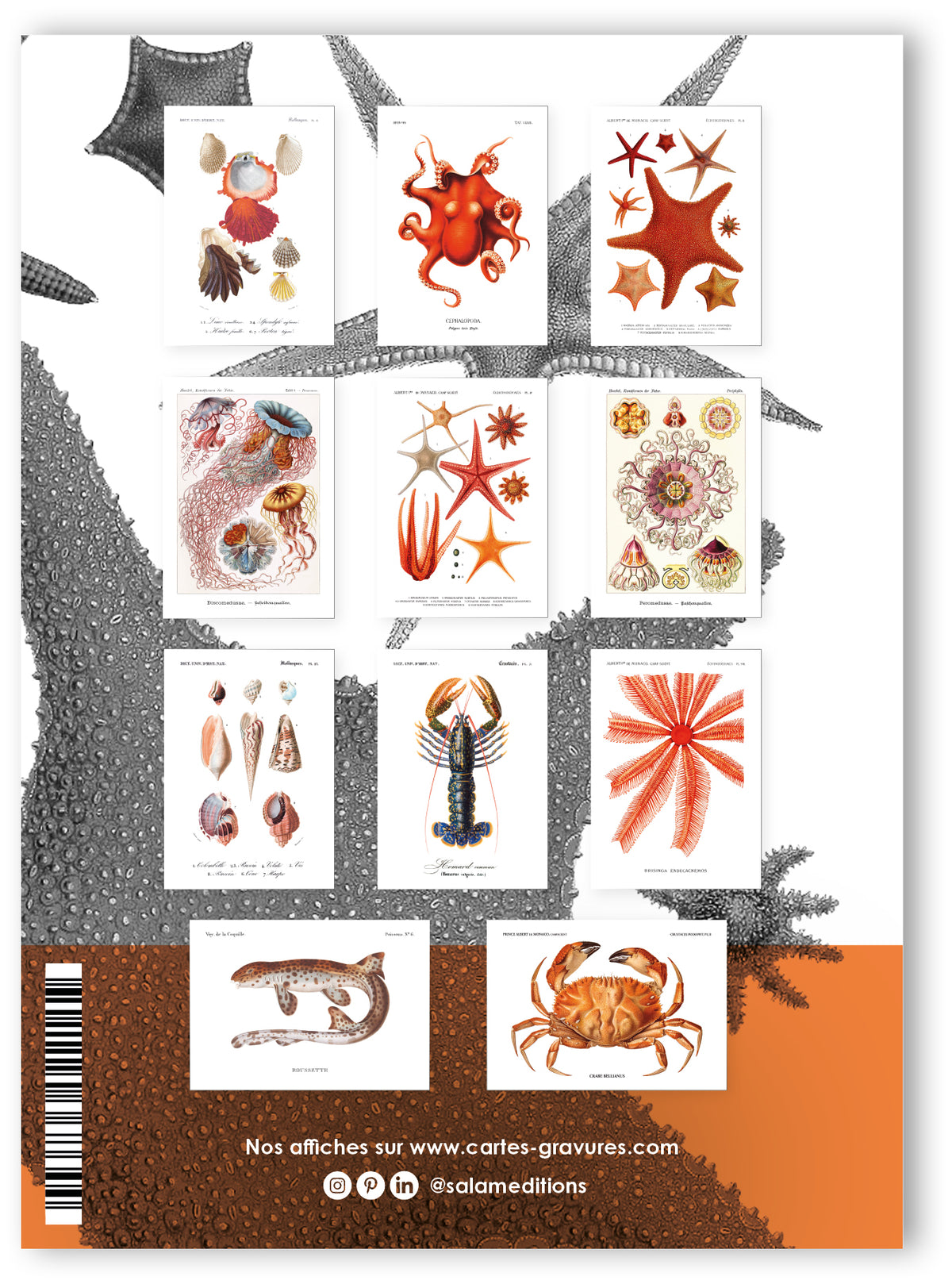 Collection "Poissons Rouges" - 11 CP