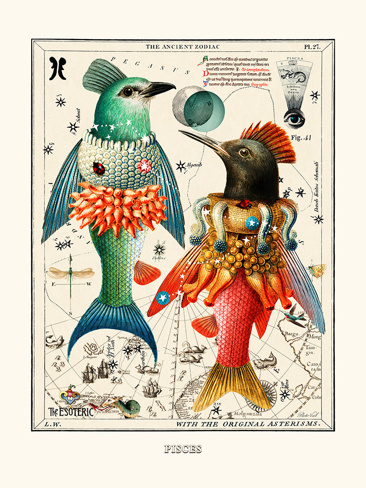 Pisces (Zodiaque Poissons) de Béto Val