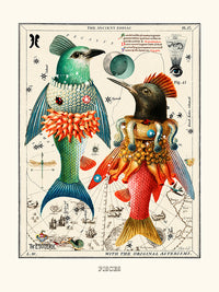 Pisces (Zodiaque Poissons) de Béto Val