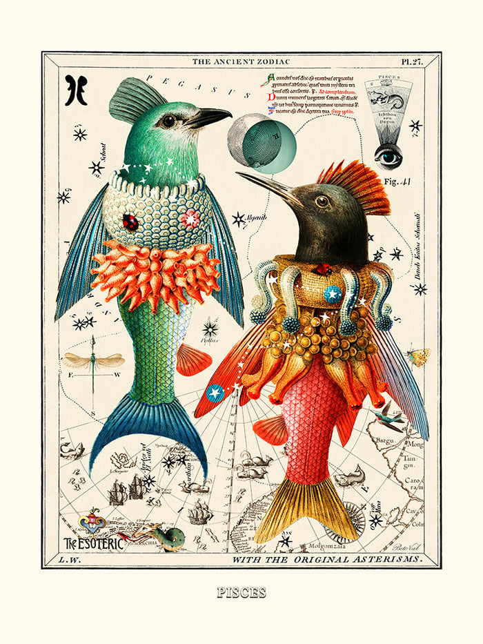 Pisces (Zodiaque Poissons) de Béto Val