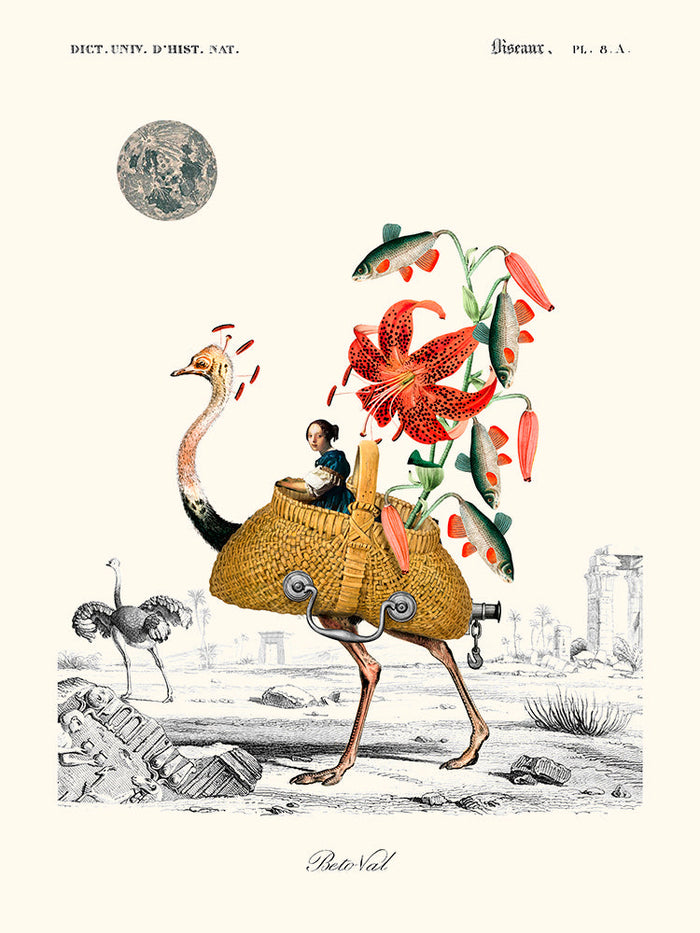 Princess Carriage de Béto Val