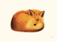 Renard par Hélène Monfort