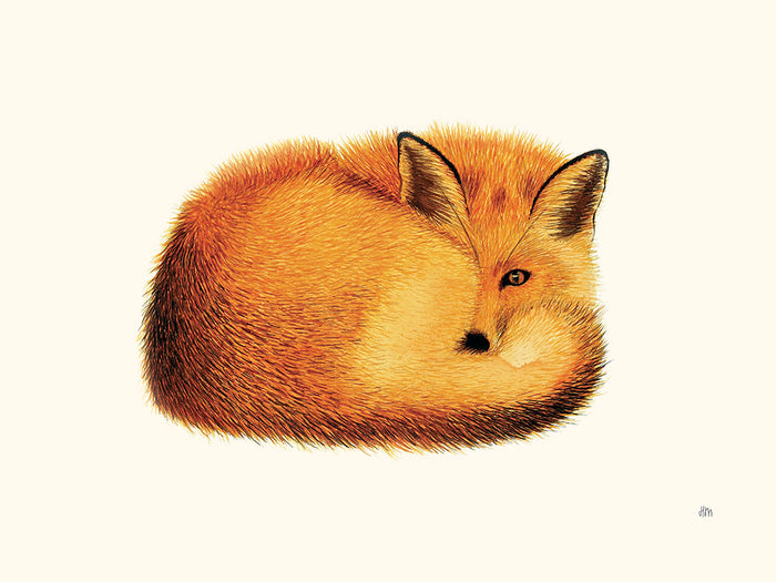 Renard par Hélène Monfort