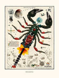 Scorpio (Zodiaque Scorpion) de Béto Val