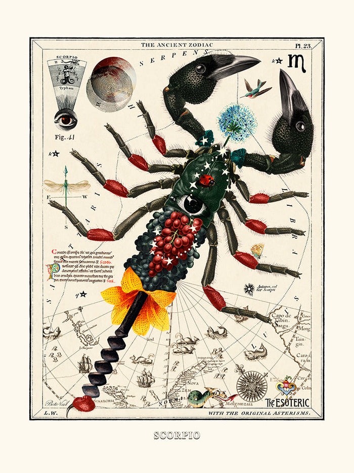 Scorpio (Zodiaque Scorpion) de Béto Val