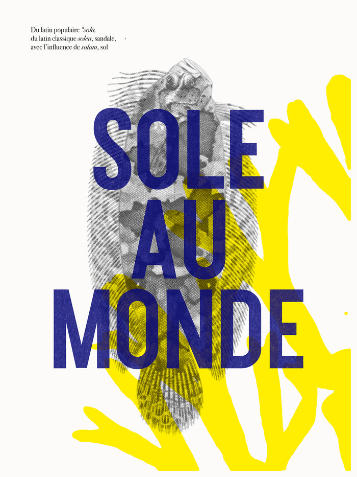 Riso -Sole au monde