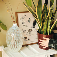 Oiseaux de bord de mer aquarelle de Sophie Bataille