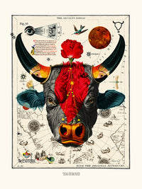 Taurus (Zodiaque Taureau) de Béto Val